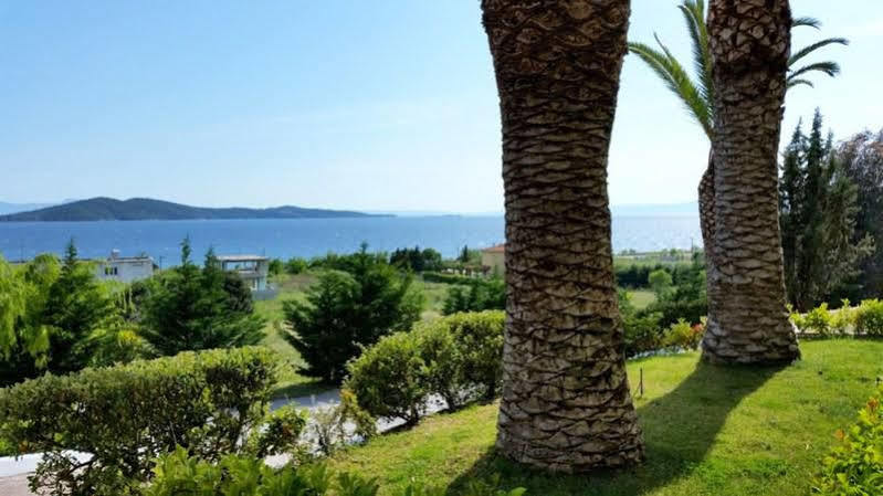 Hotel Alexandros Palace And Suites 5*