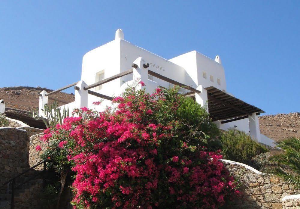 Alexander Mykonos * Panormos (Mykonos)