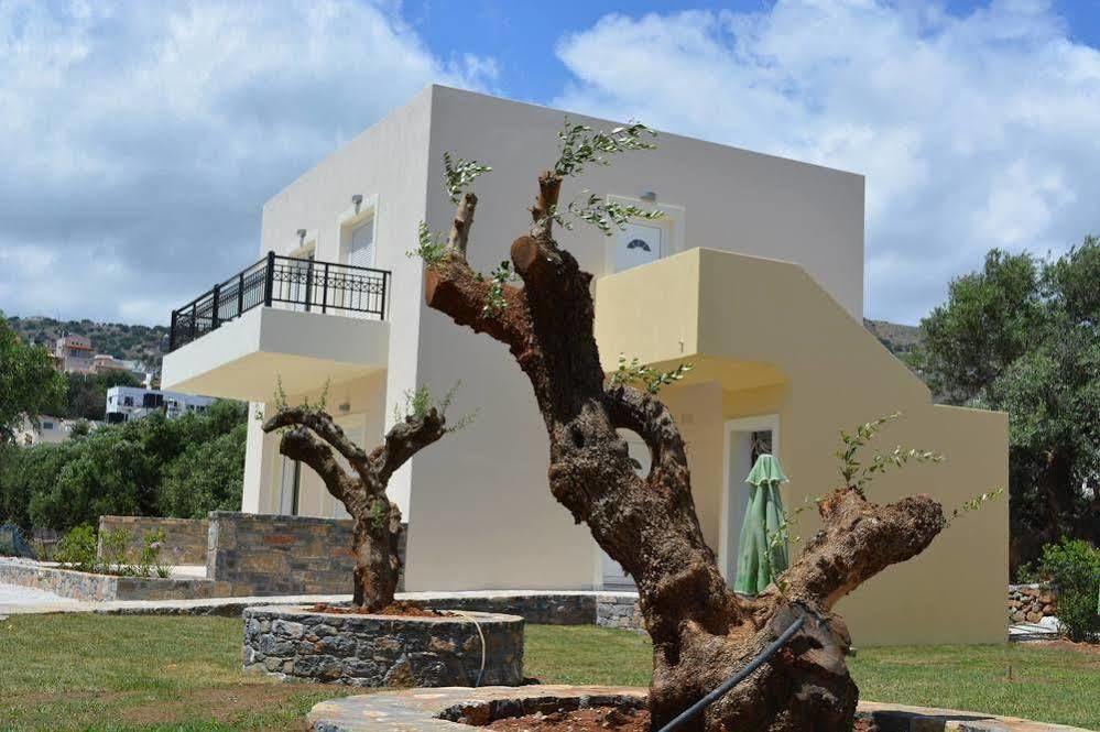 Olive Grove 4* Elounda (Crete)