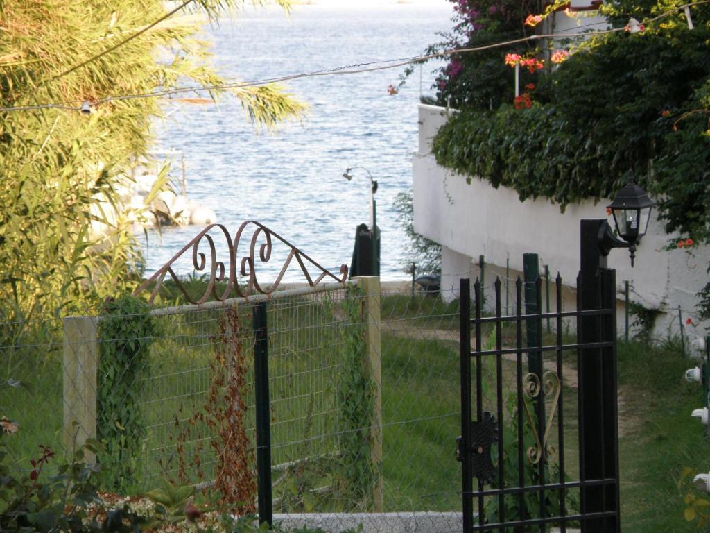 Vontzos Achladies (Skiathos)