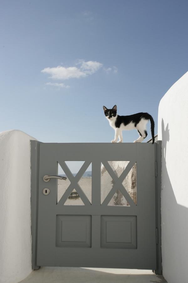 Villa White Oia (Santorini)