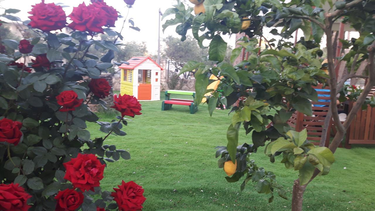 Alba Boutique Laganas