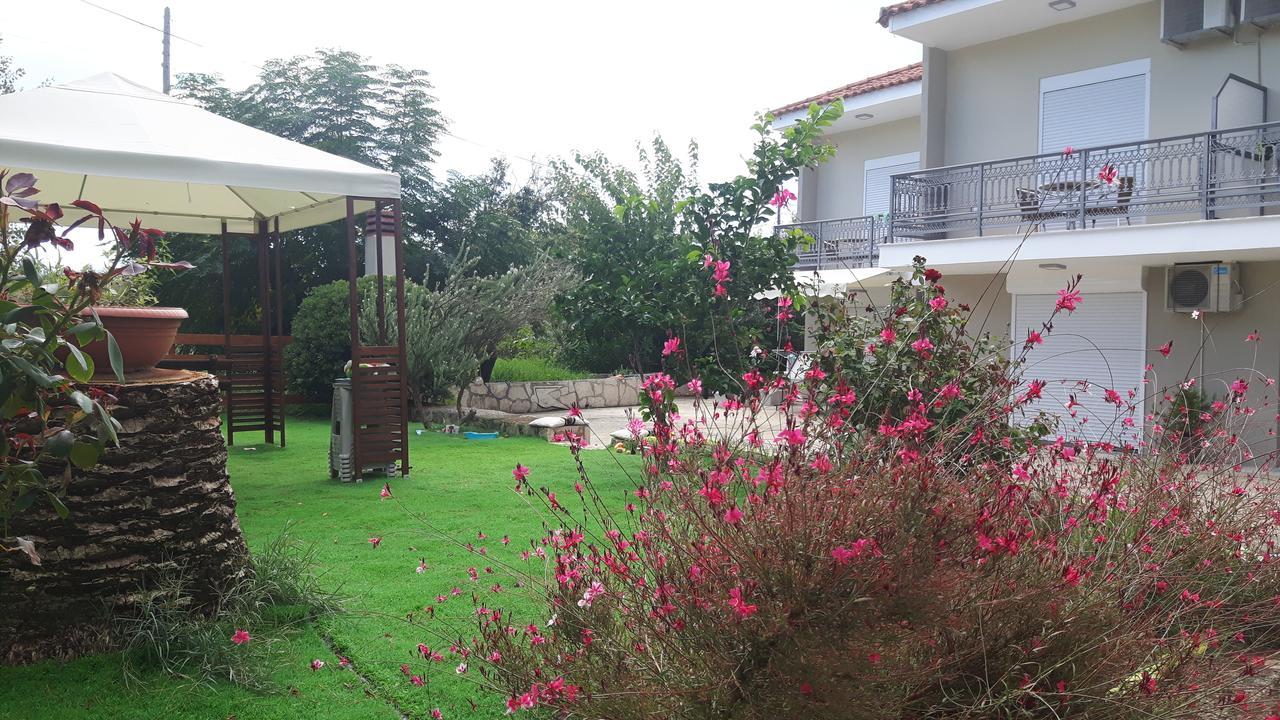 Apartment Alba Boutique *