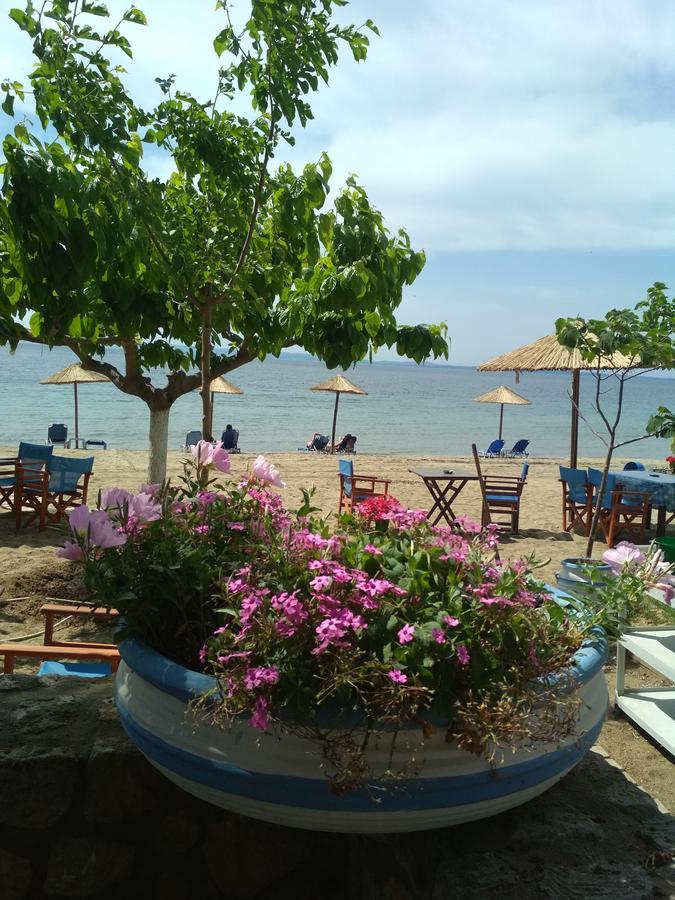 Paschalia Sea View Apartment Psakoudia