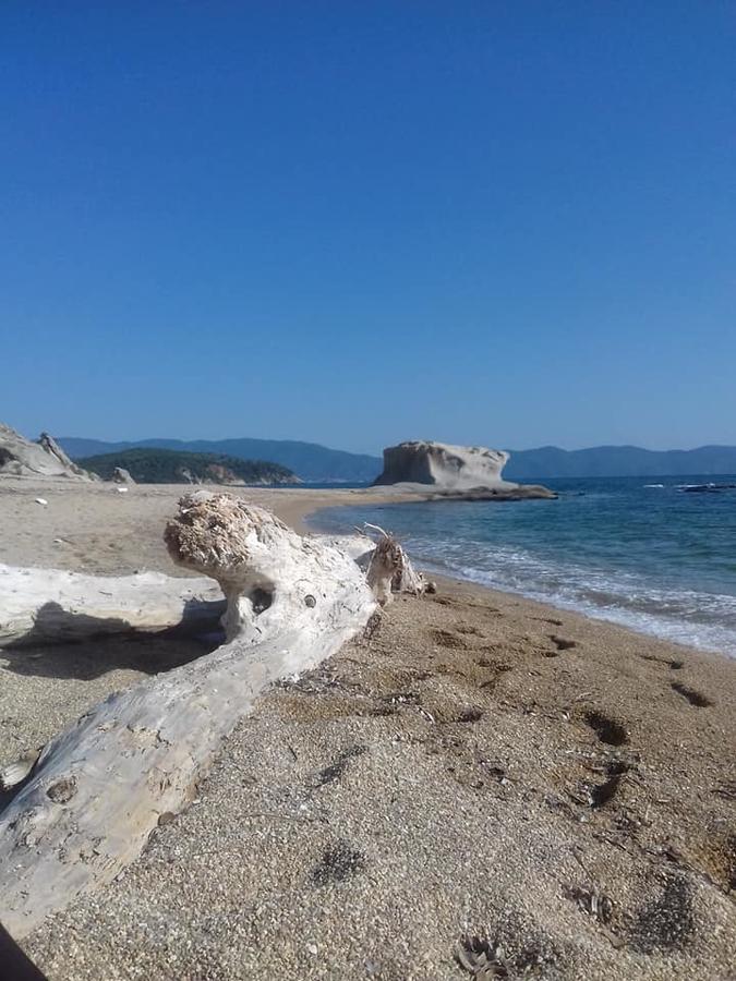 Koala Apartments- Irida, Elea Ierissos