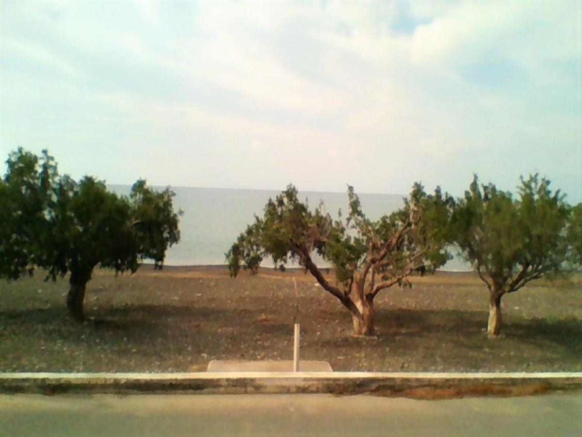 Apollon *