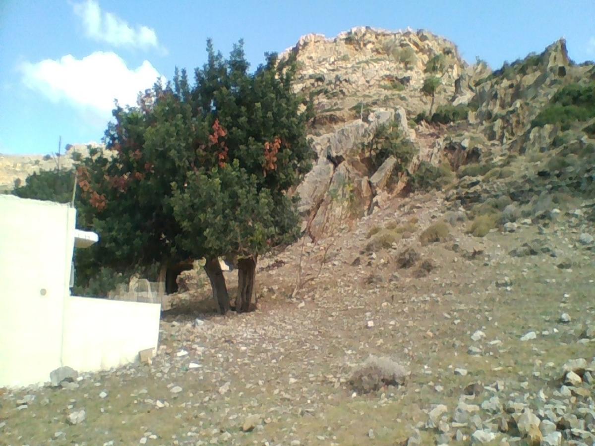 Apollon Aparthotel Tsoutsouros (Crete)