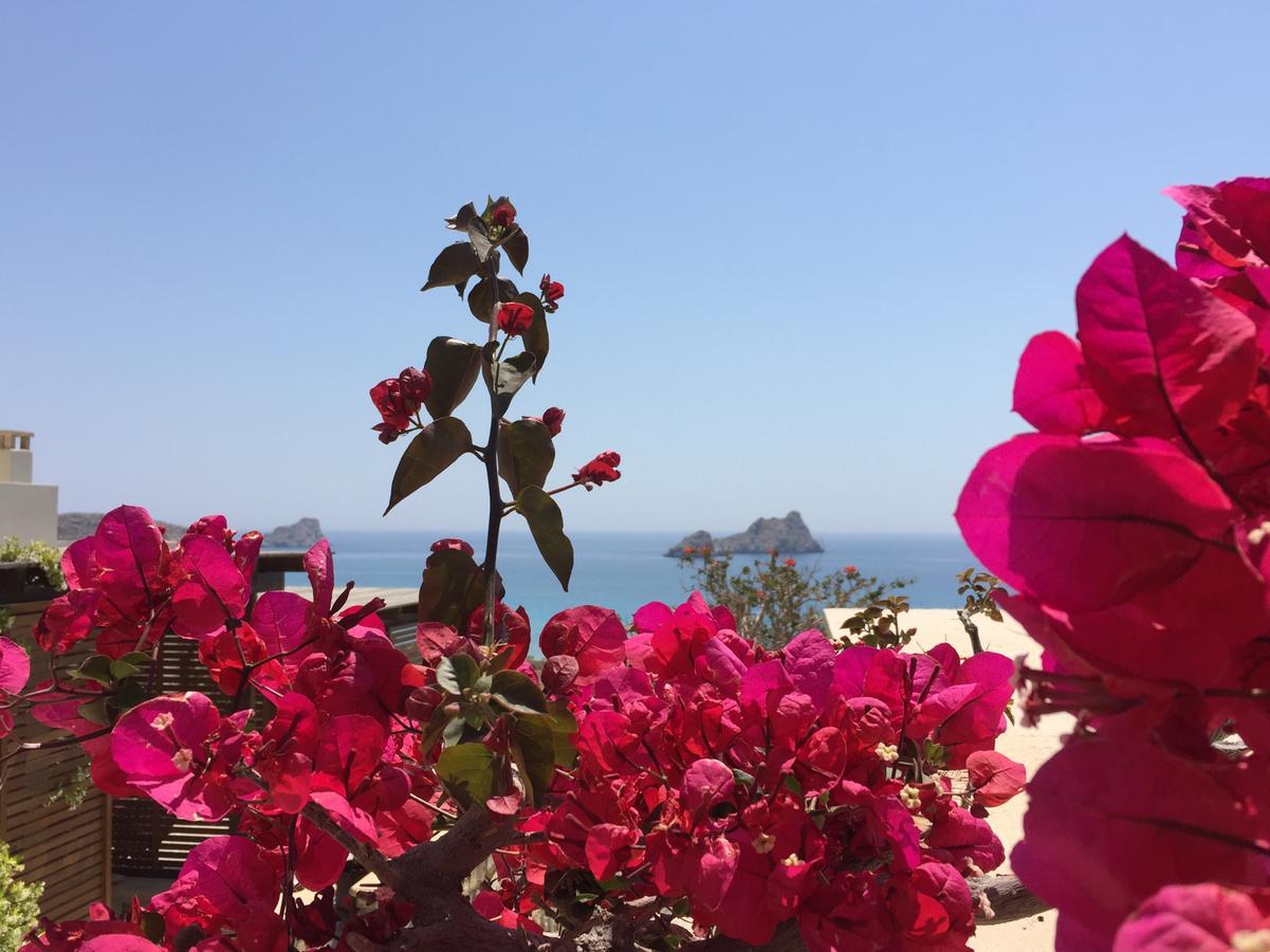 Natica Mare