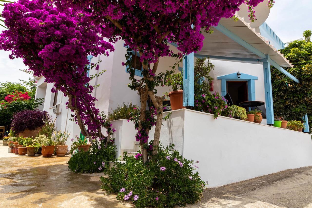 Guest house Jodi's 3*