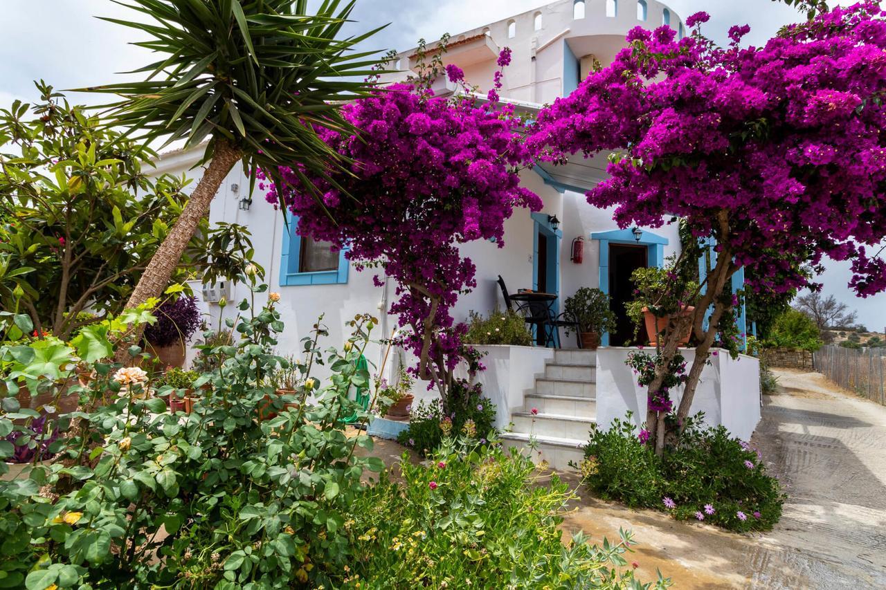 Jodi's Guest house