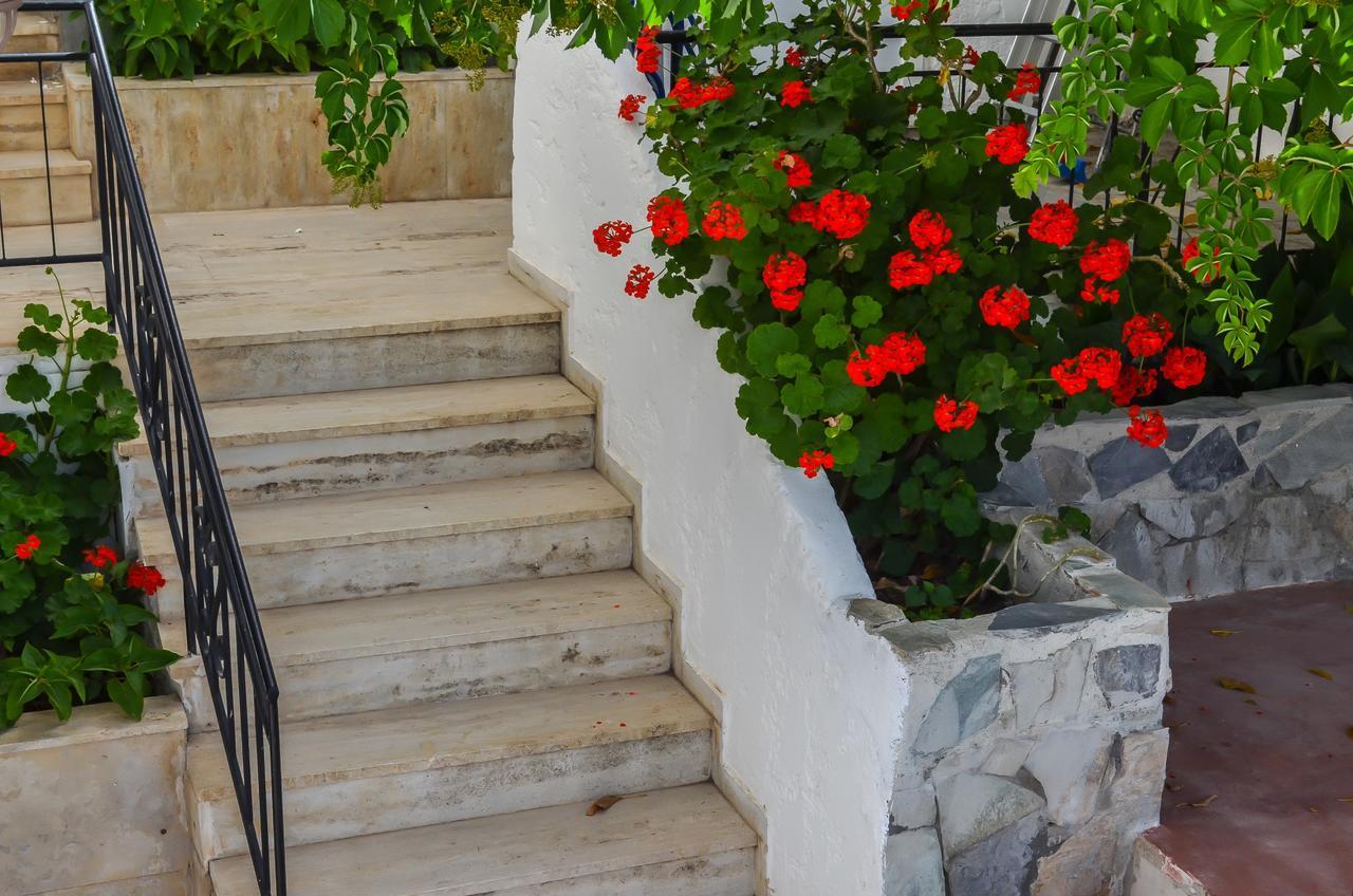 Aparthotel Kalypso 2*