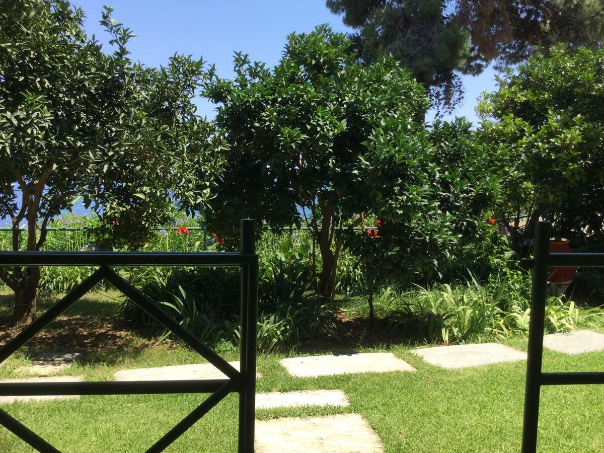 Yiannis (adults Only) * Megali Ammos (Skiathos)