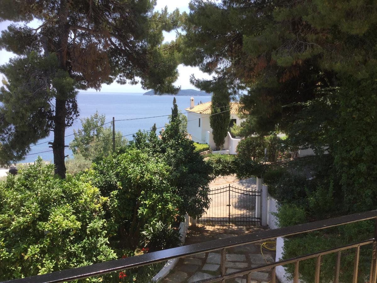 Yiannis (adults Only) Guest house Megali Ammos (Skiathos)