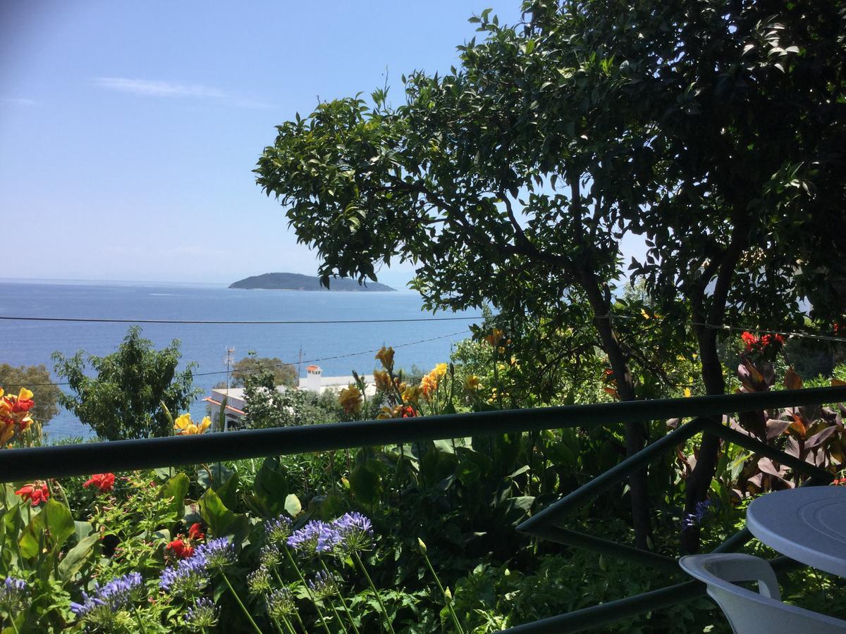 Yiannis (adults Only) * Megali Ammos (Skiathos)