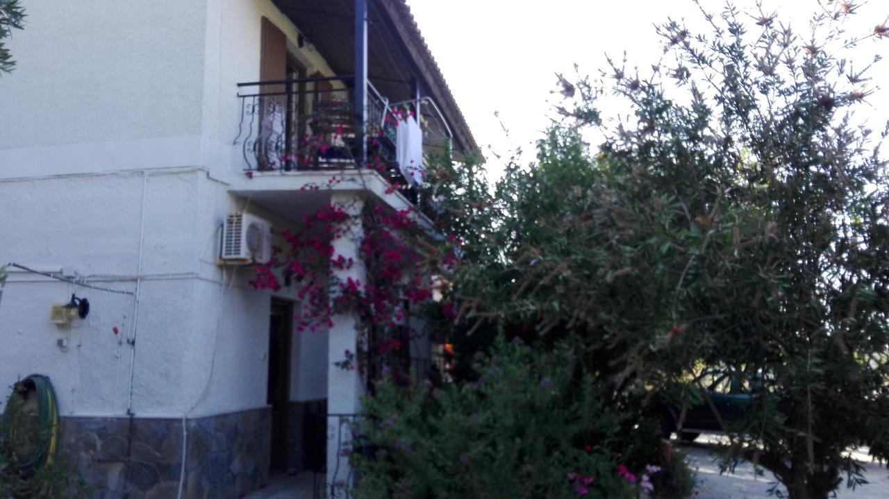 Apartment Stelios Megali Ammos (Skiathos)