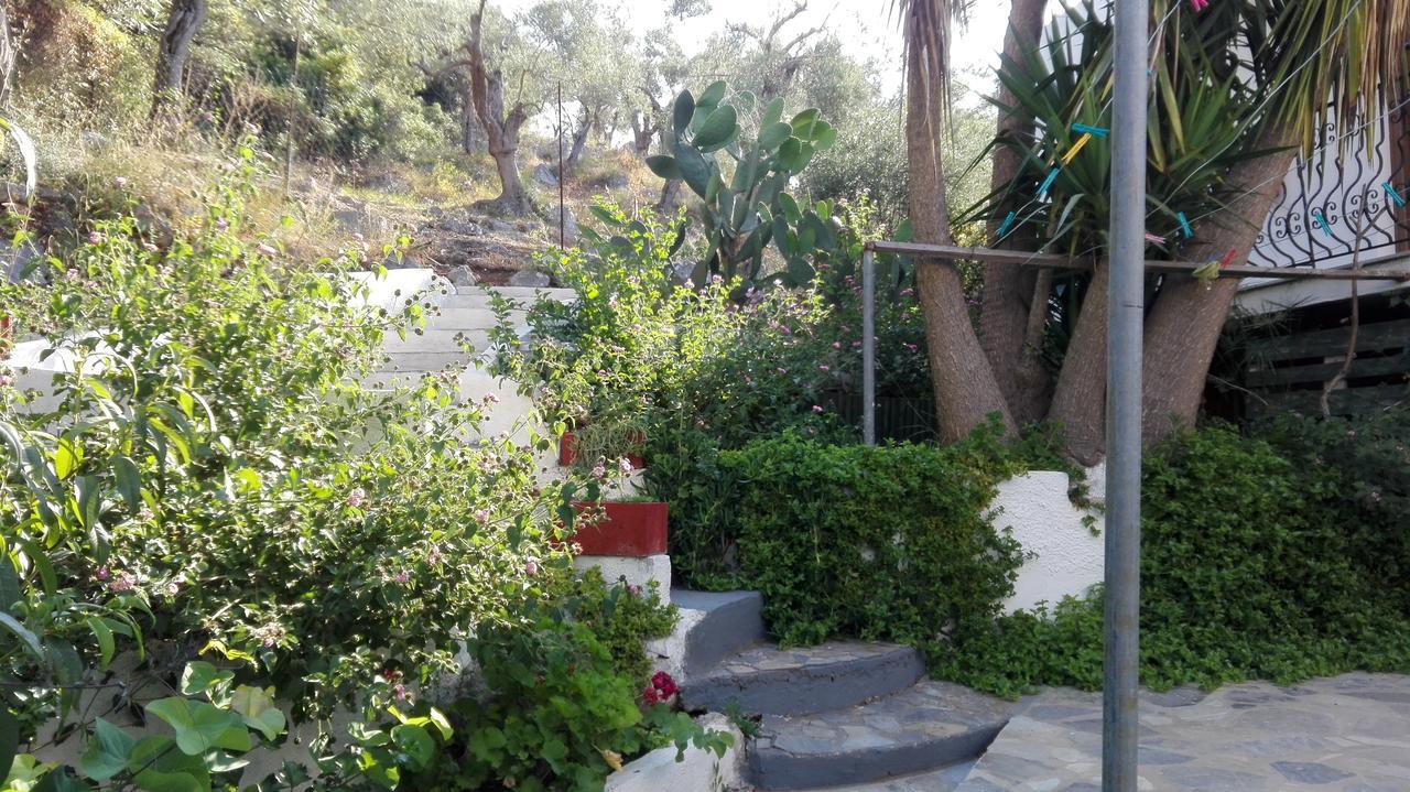 Stelios Apartment Megali Ammos (Skiathos)