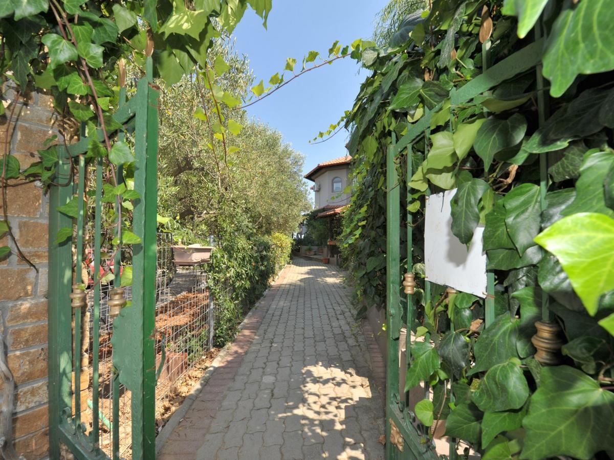 Apartment Alice Wonderland Nea Halkidiki *