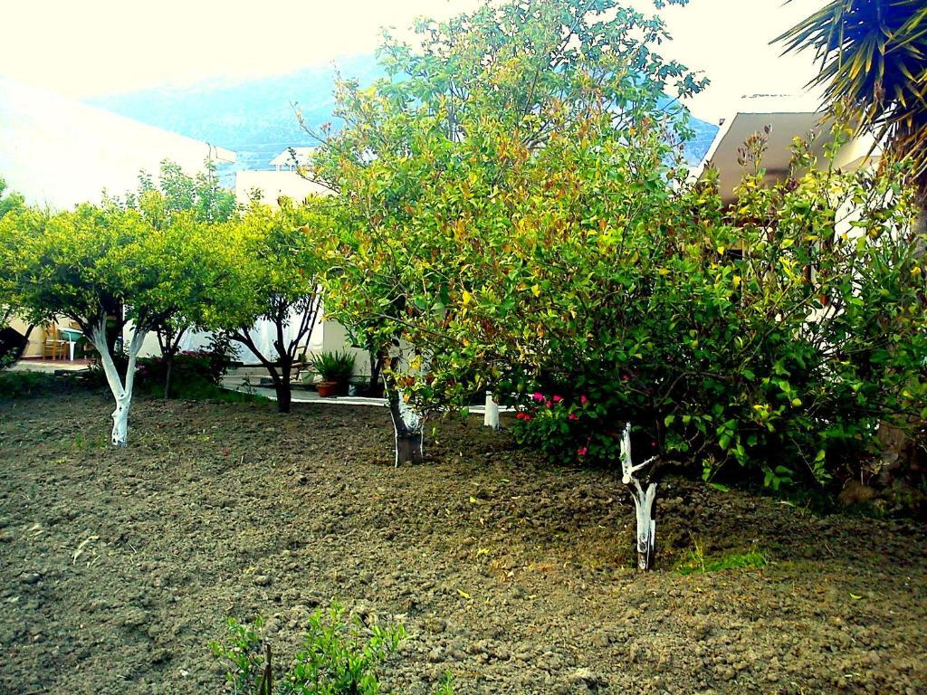 Hariklia Rent Zaros