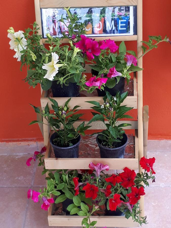 Apartment Gradma Katina Platanias (Crete)