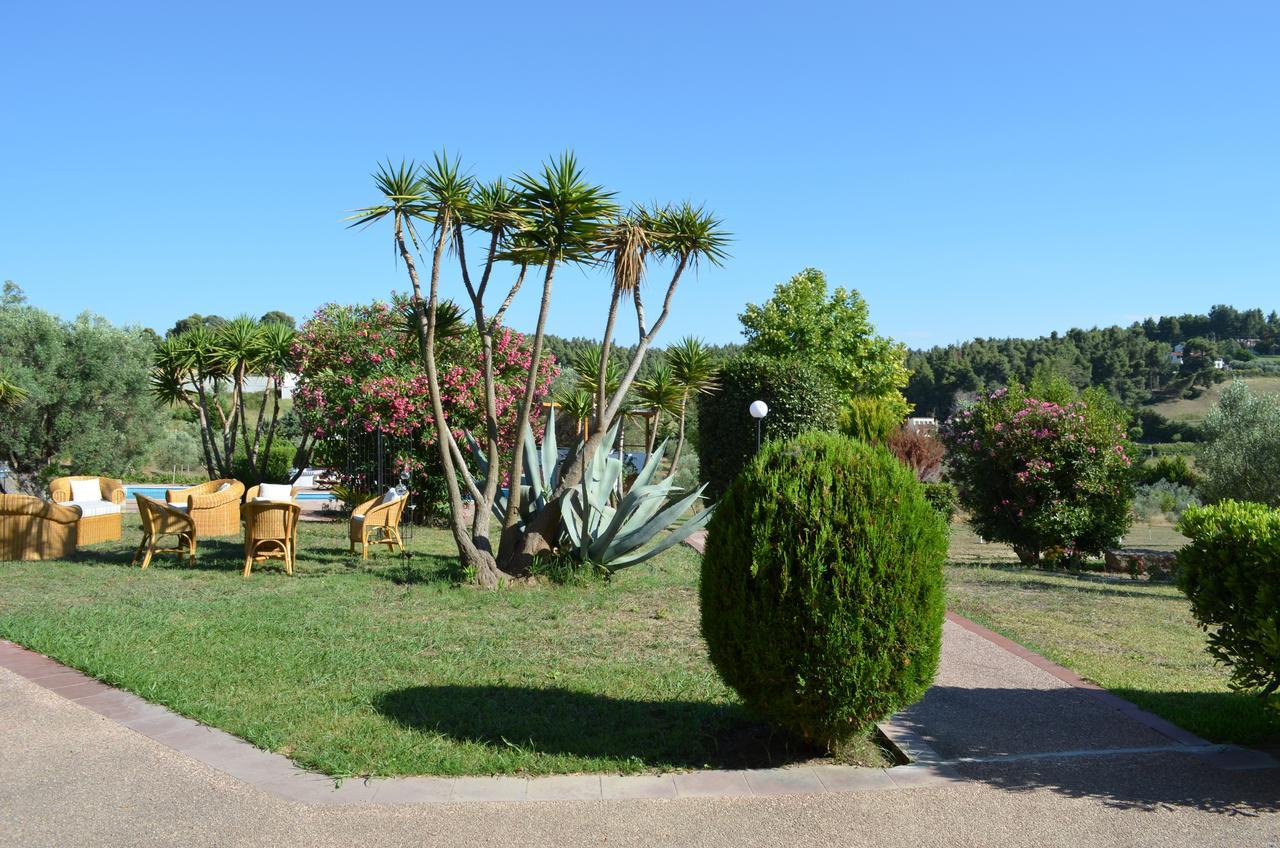 Olivos Sani * Sani (Chalkidiki)