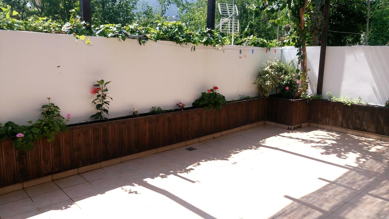 Guest house Pansion Chrisa Skiathos Town