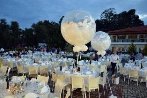 Alexandros Palace And Suites Nea Roda