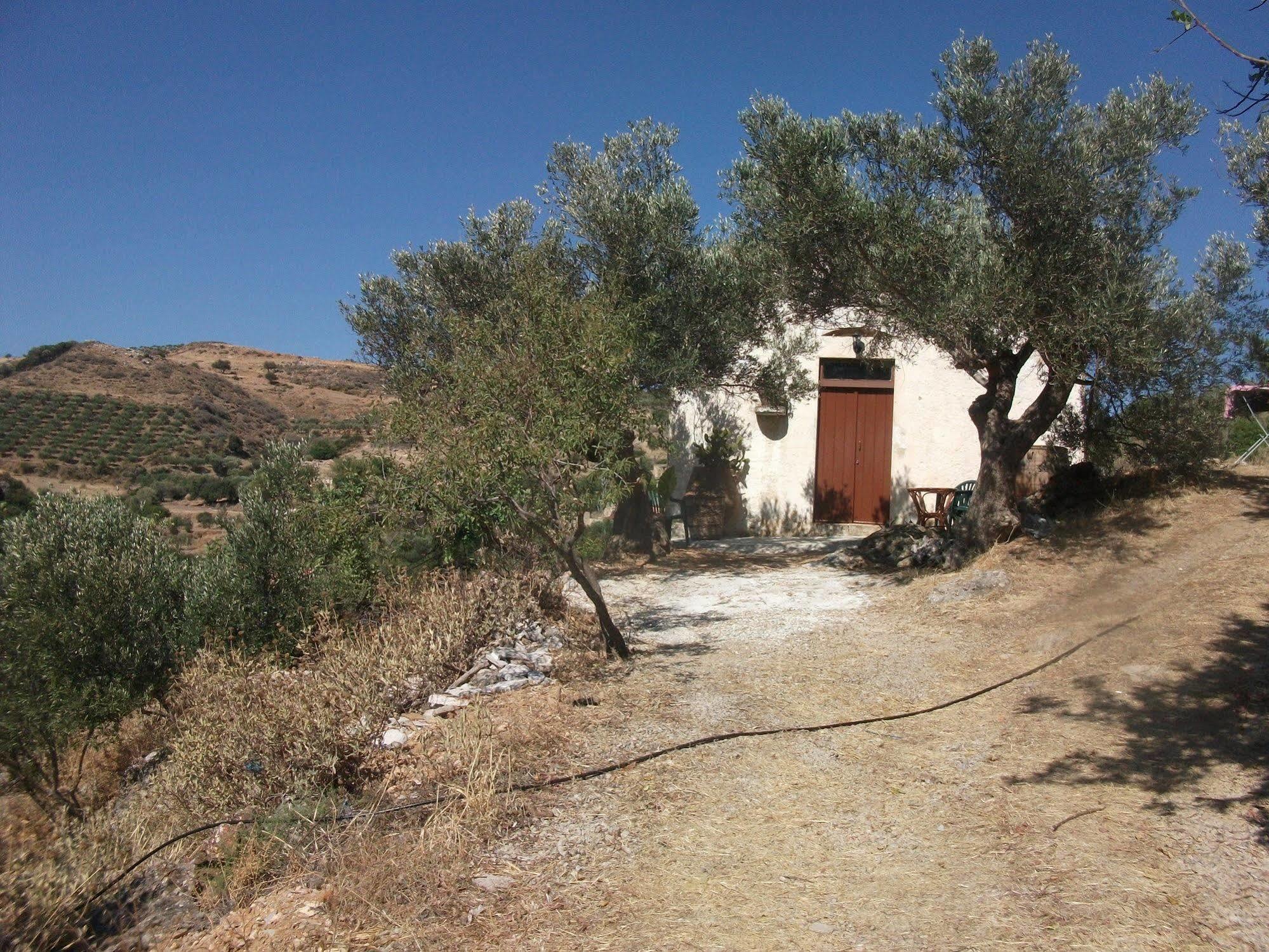 Tsikalaria Traditional Stone House Holiday home