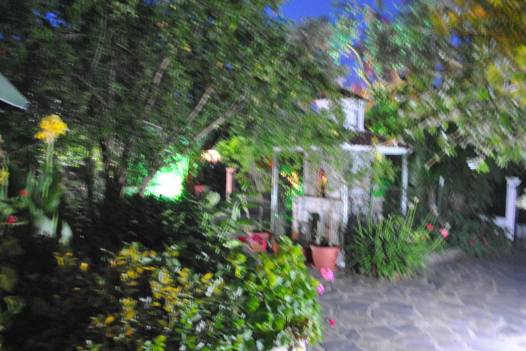 Stelios Megali Ammos (Skiathos)