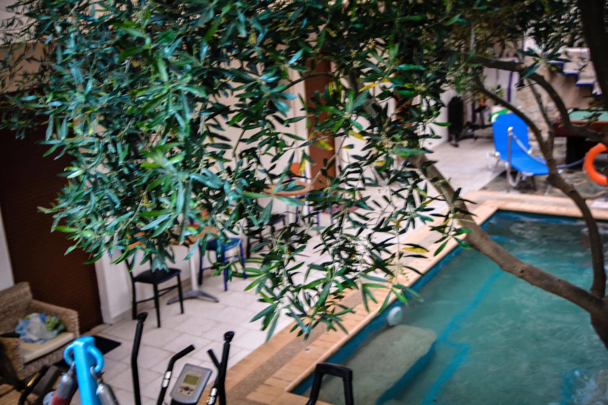 Apartment Erifili Kallithea (Chalkidiki)