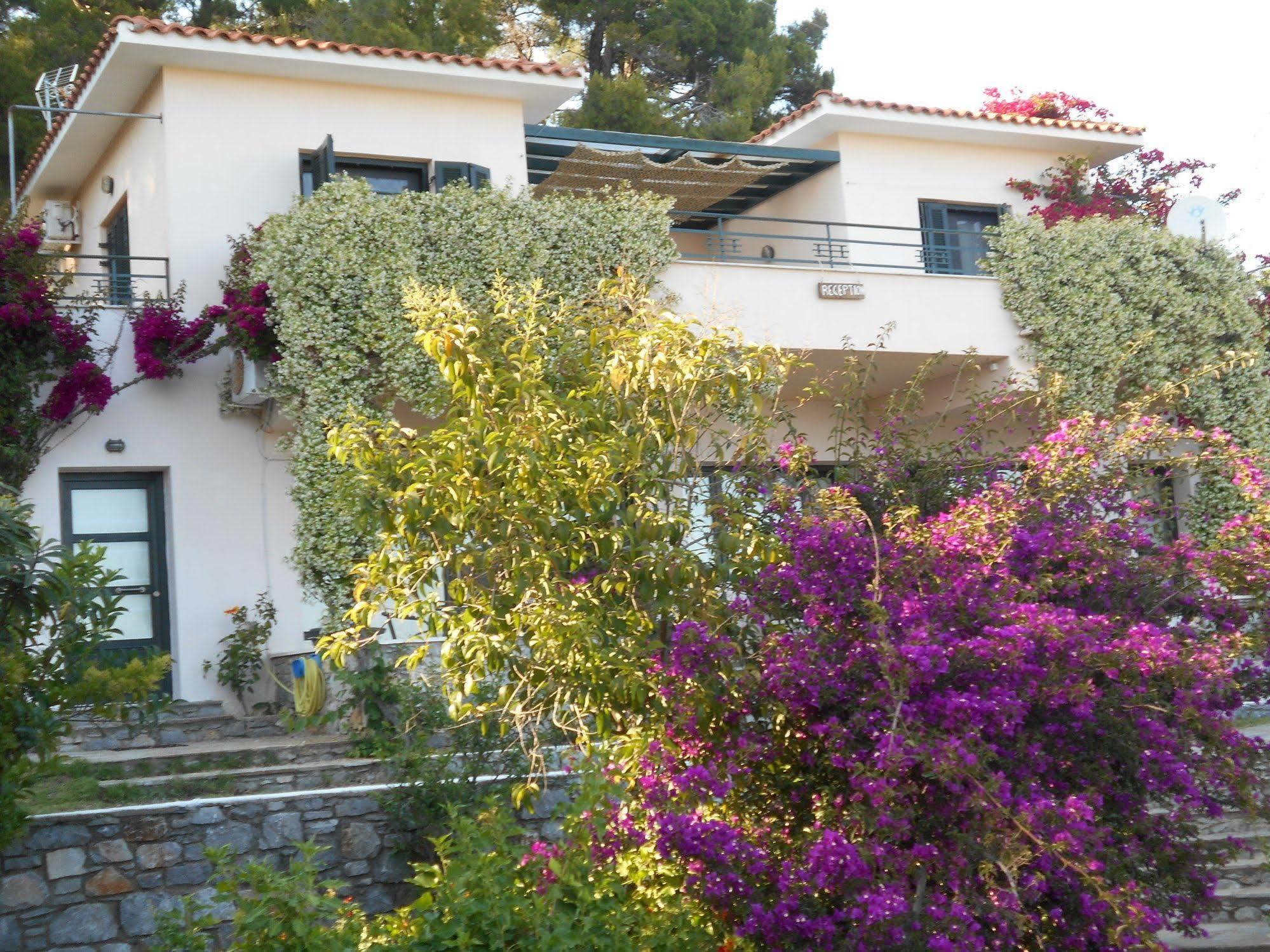 Helen's 11 Boutique Aparthotel Achladies (Skiathos)