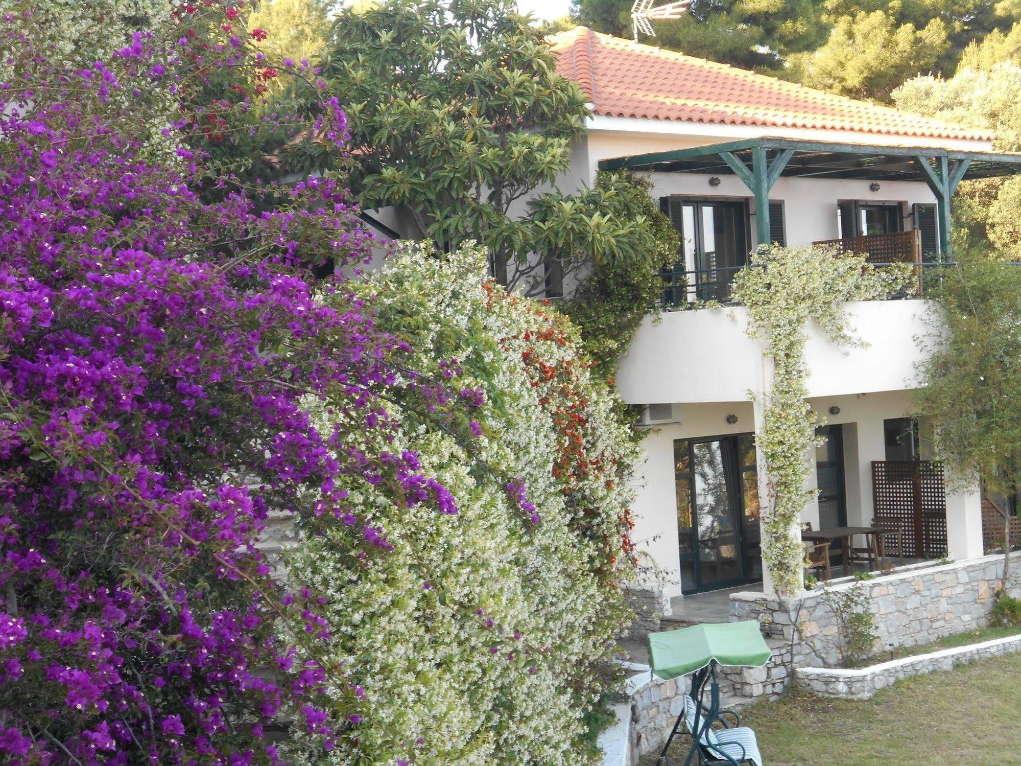Helen's 11 Boutique Achladies (Skiathos)