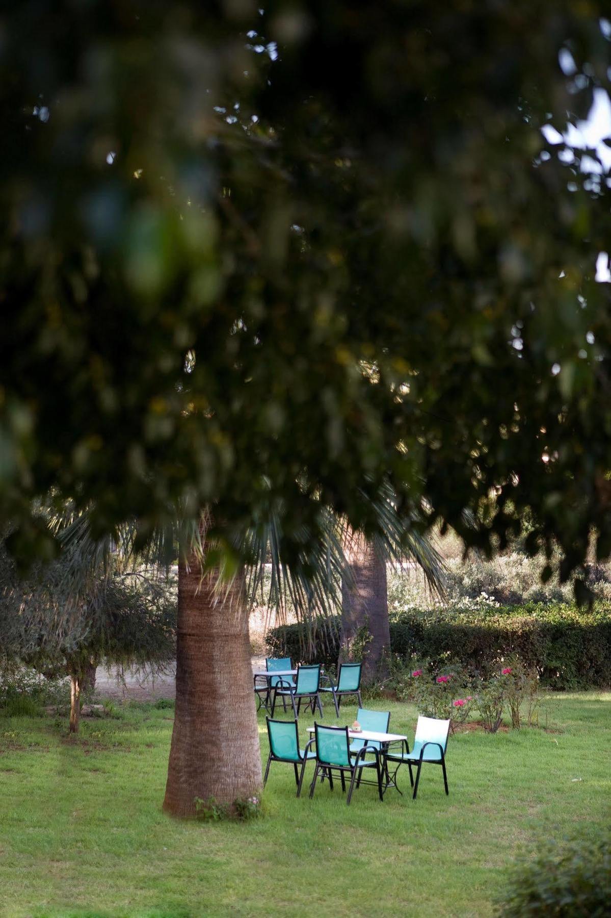 Life * Agia Marina (Crete)