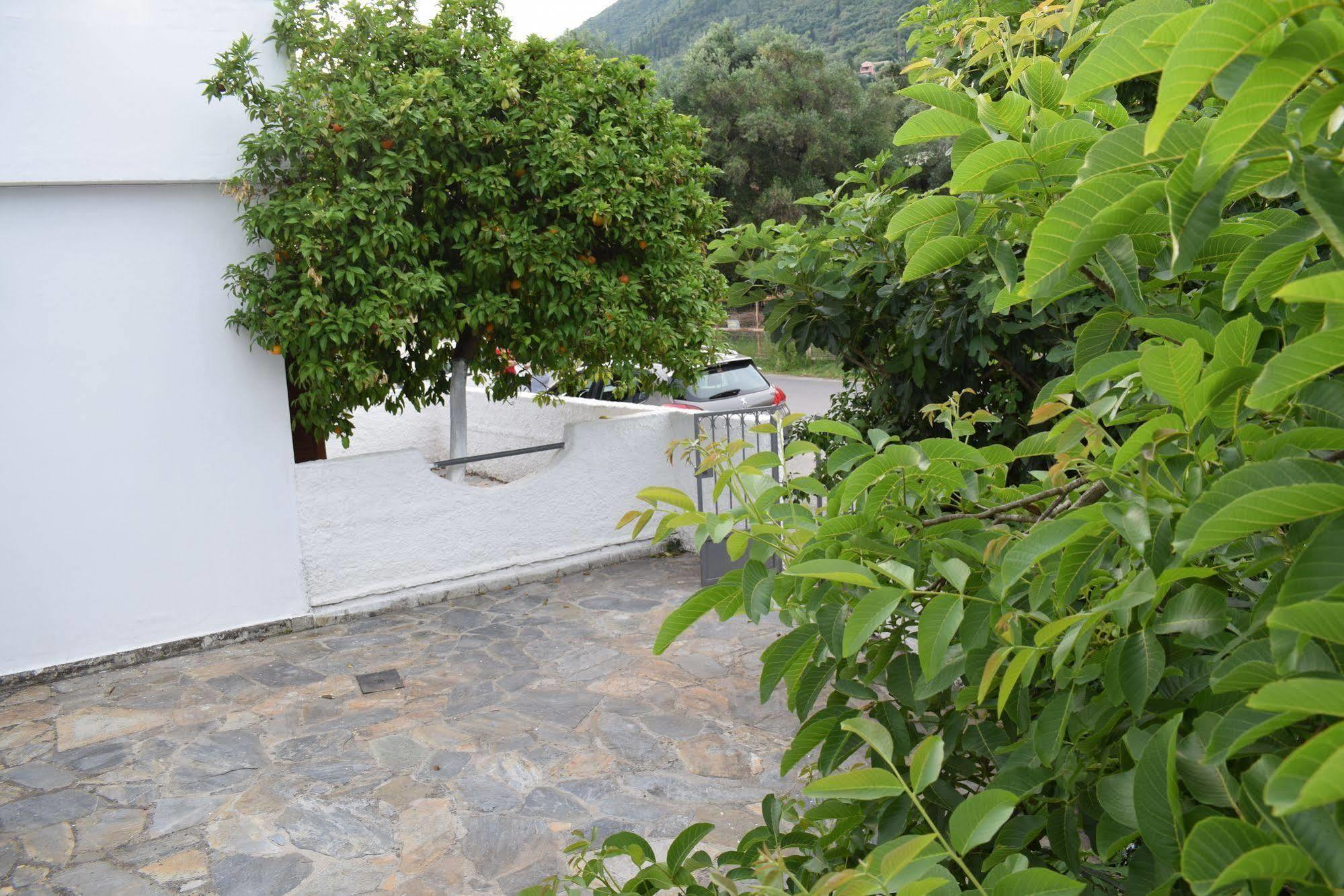 Gorgona Apartment