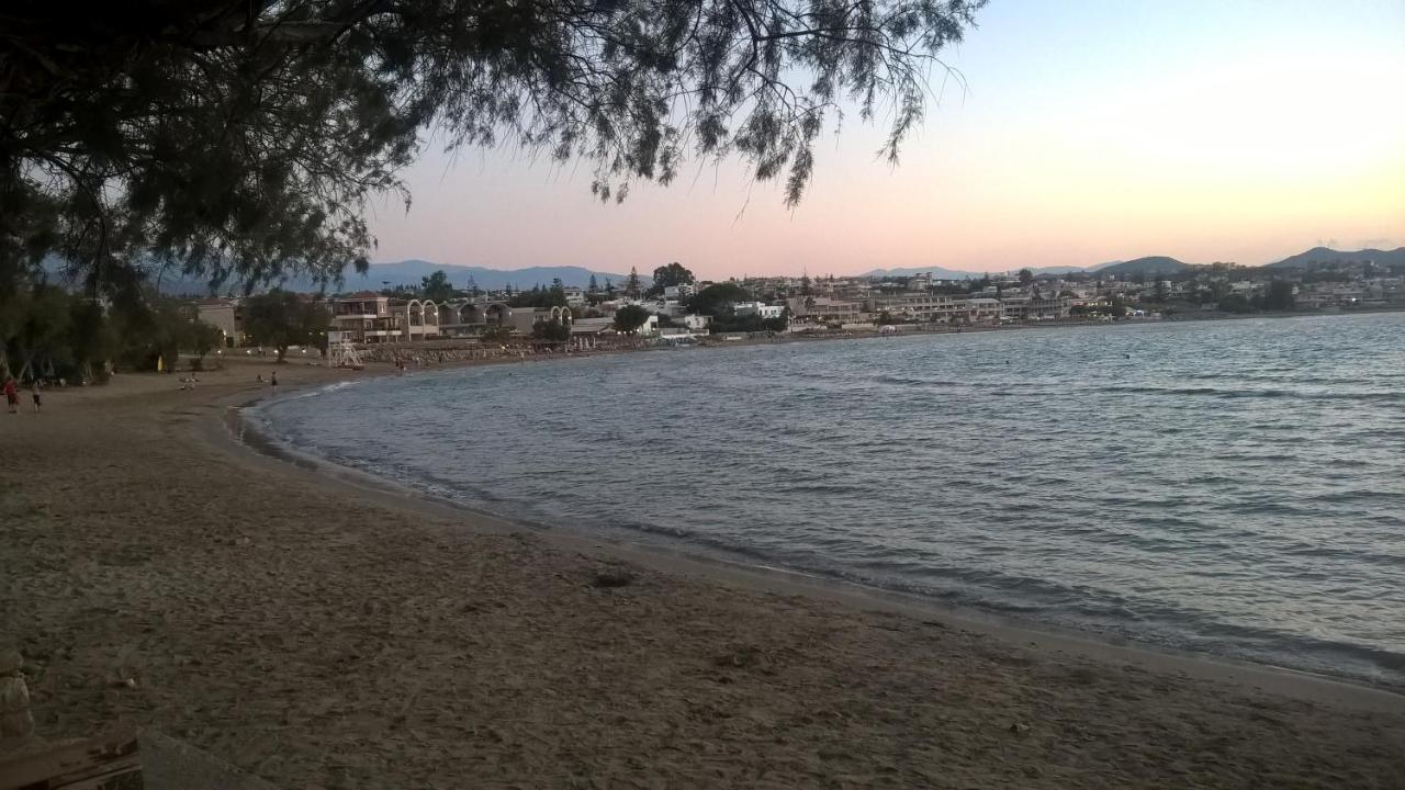 Zinovia *