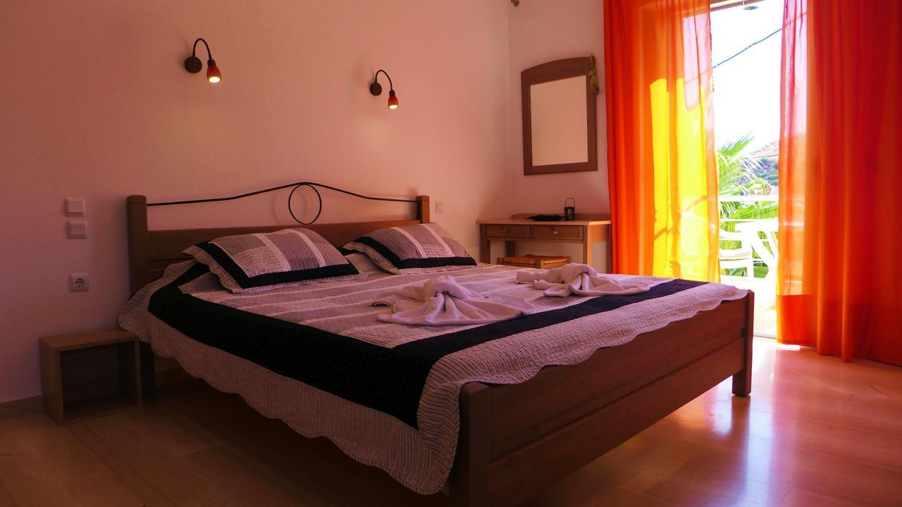 Lion-suites *