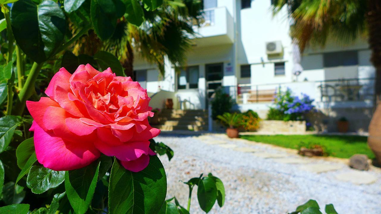 Lion-suites Apartment Kalyves