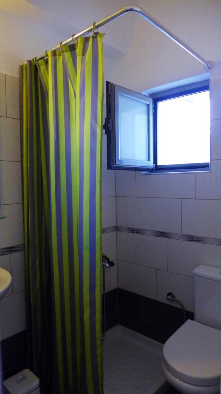 Lion-suites