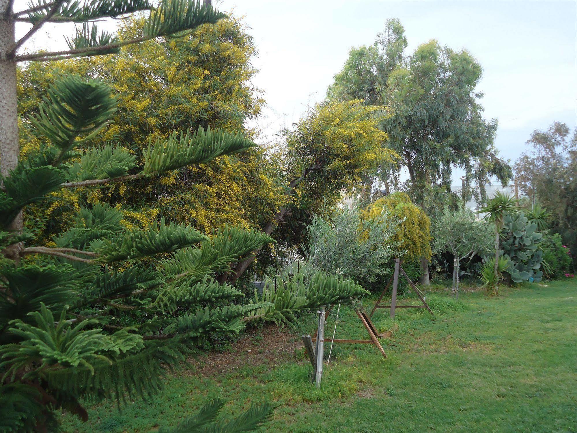 Portokali (adults Only) 2* Hersonissos (Crete)