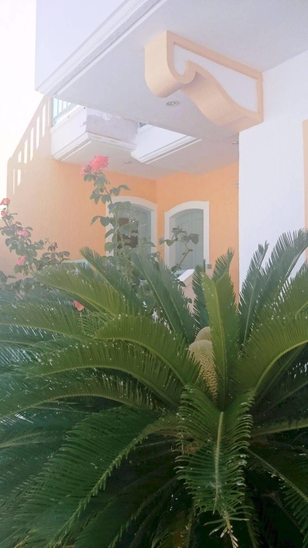 Amazones Sun Hotel Hersonissos (Crete)