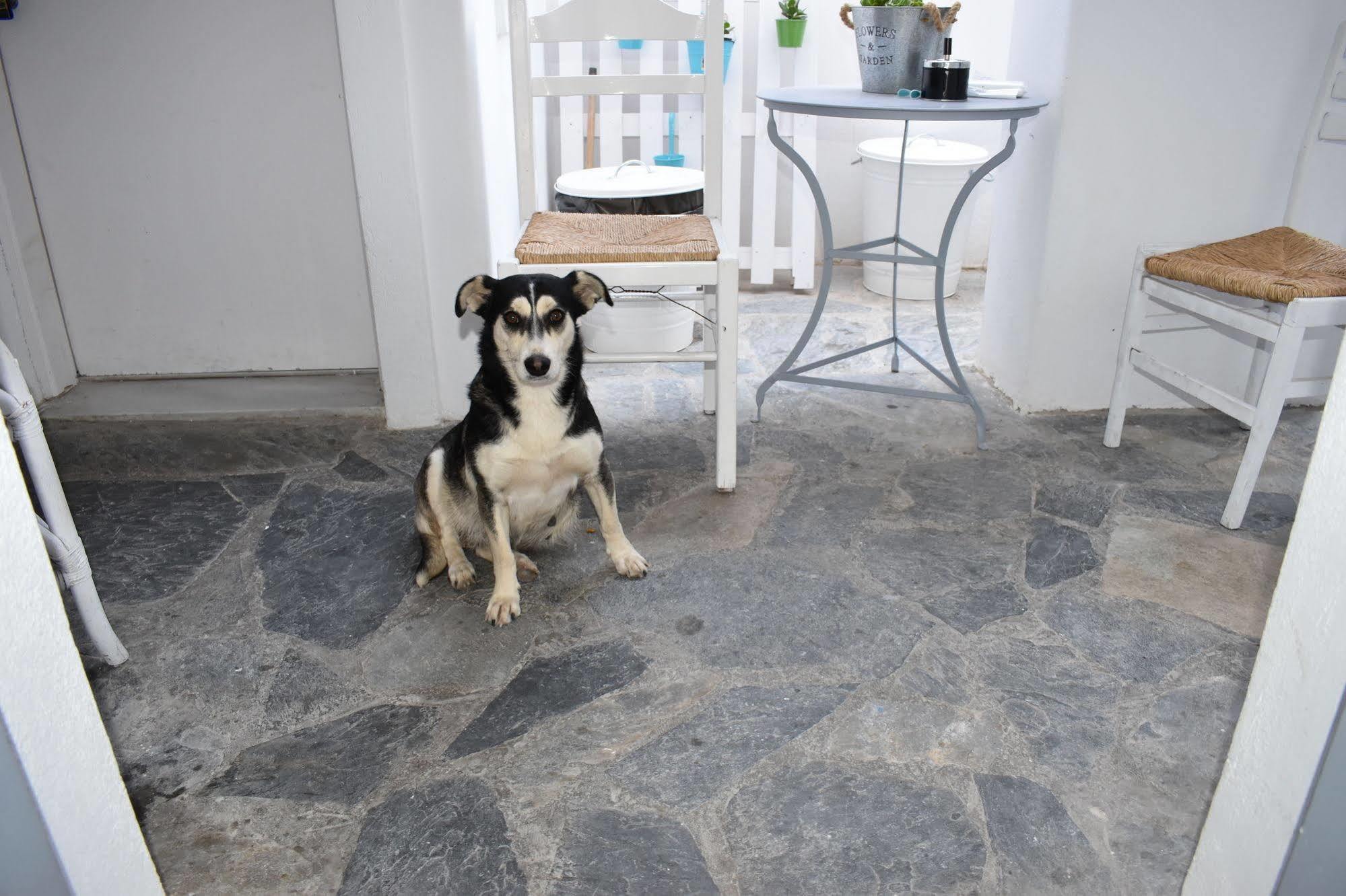 Aparthotel Zacharakis Kamari (Santorini)