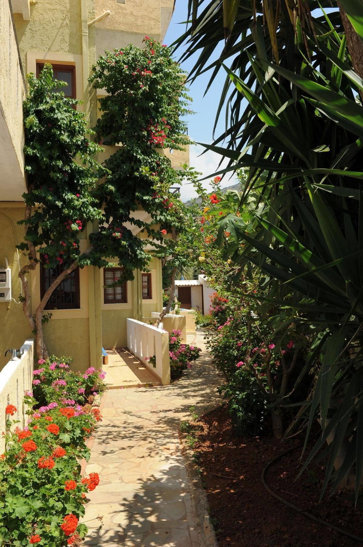 Stelios Hotel Malia (Crete)