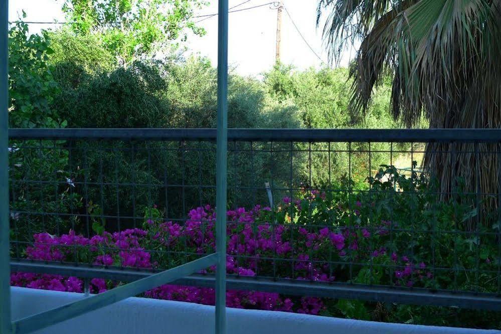 Hotel Rea 3*