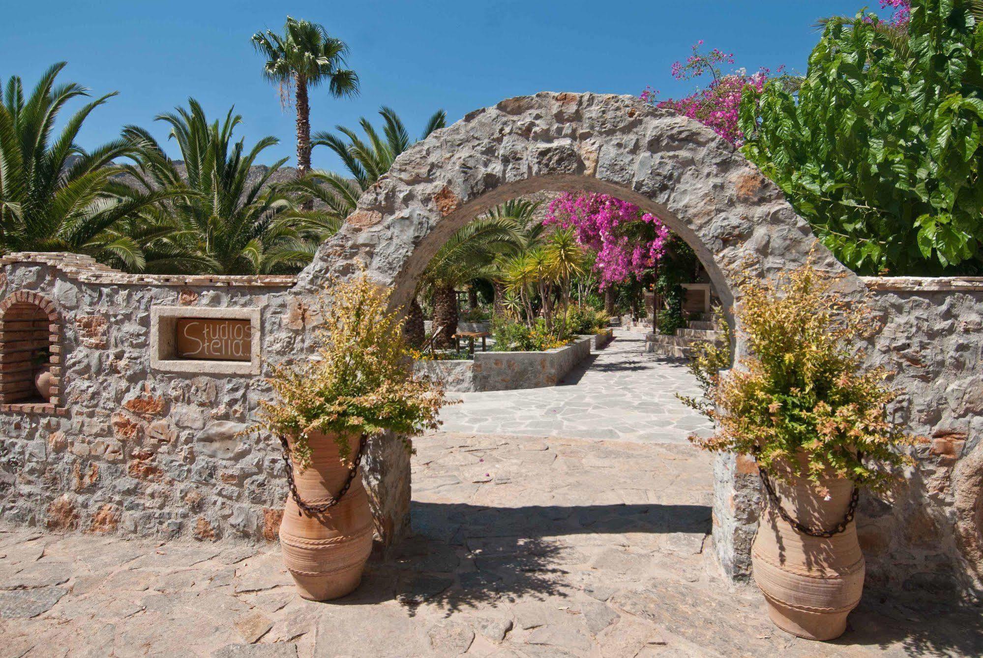 Stella's Traditional Zakros