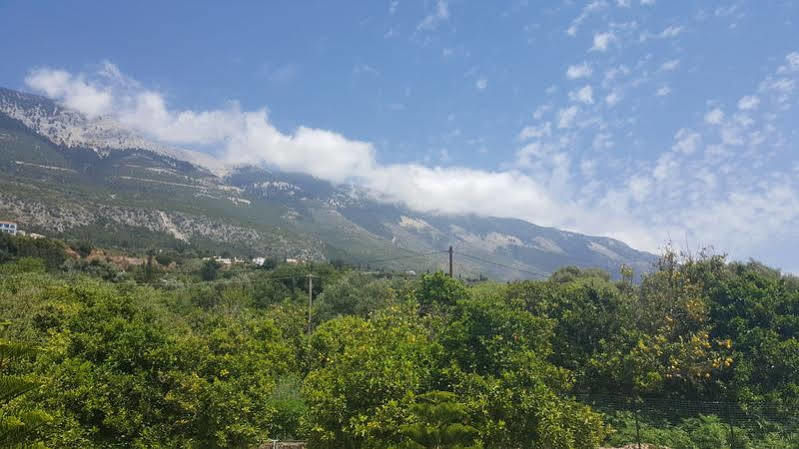 Stefanos * Svoronata
