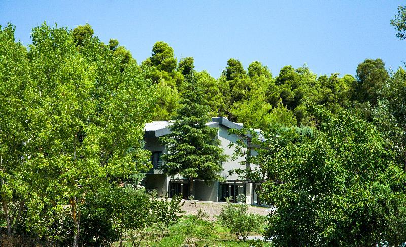 Aparthotel Sani & Sani Woods (adults Only) 4*