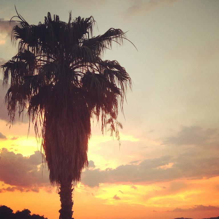 Palms And Spas Retreat Hotel 3*