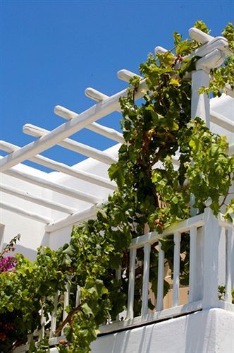 Vanilla 2* Ornos (Mykonos)