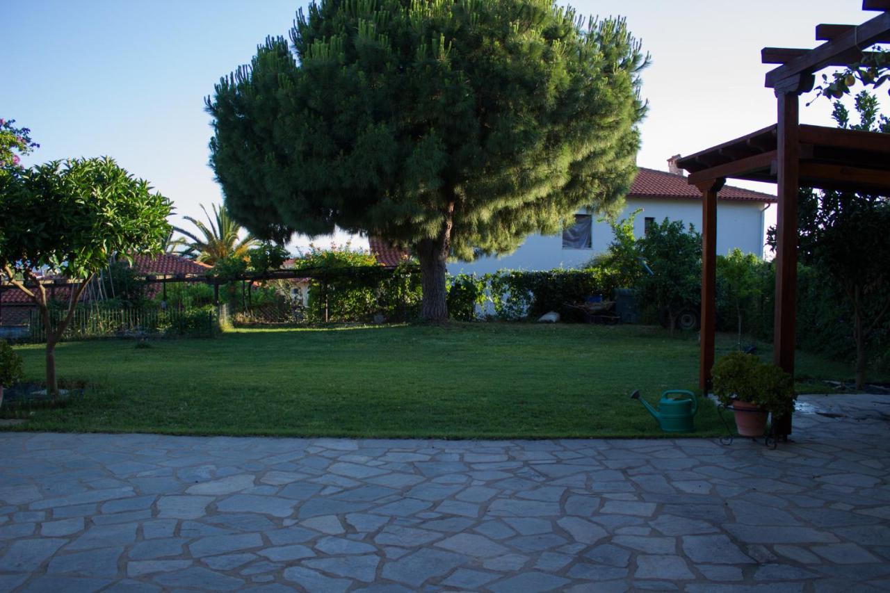Pinehouse King * Nikiti (Sithonia)
