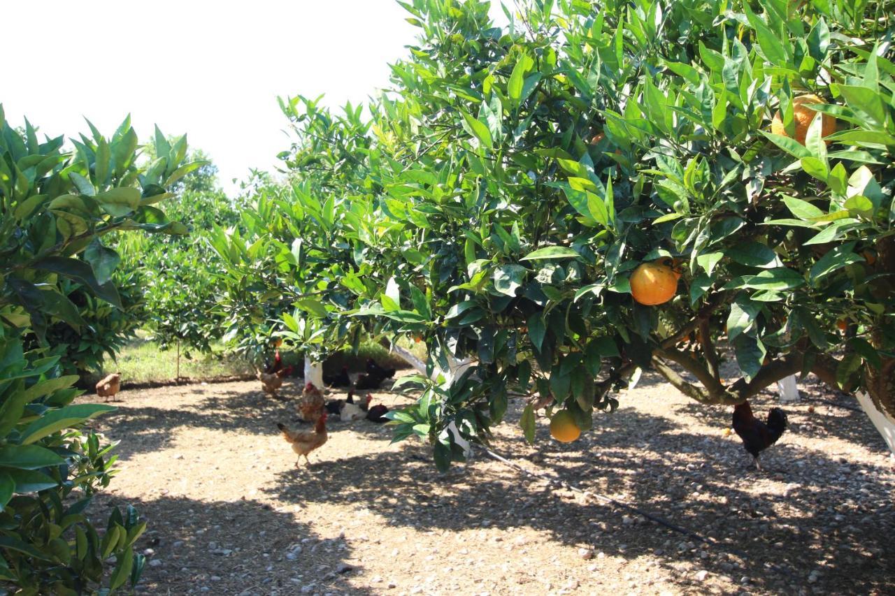 Hotel Garden Pastida