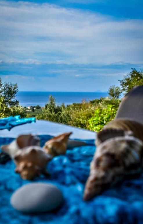 Dream View